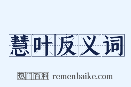 慧叶反义词是什么意思的图片